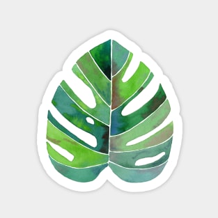 Monstera Modern Watercolor Illustration Sticker